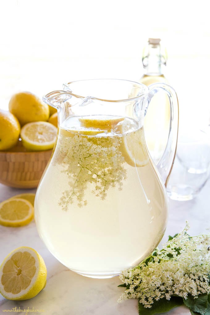beautiful elderflower blossoms in glass serving pitcher with lemon slices