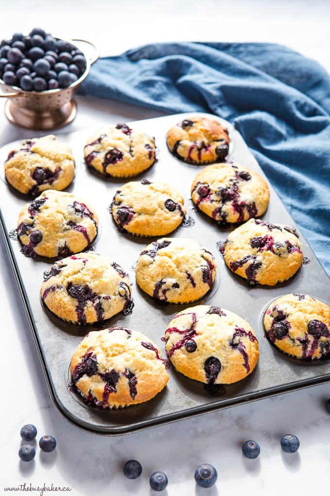 Best Ever Blueberry Muffins {Easy Muffin Recipe} - The Busy Baker