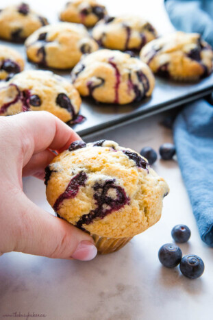 Best Ever Blueberry Muffins {Easy Muffin Recipe} - The Busy Baker