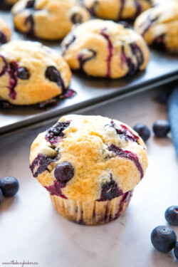 Best Ever Blueberry Muffins {Easy Muffin Recipe} - The Busy Baker