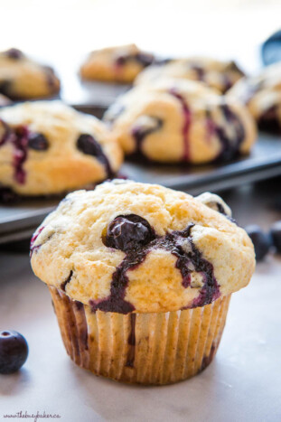 Best Ever Blueberry Muffins {Easy Muffin Recipe} - The Busy Baker