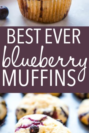 Best Ever Blueberry Muffins {Easy Muffin Recipe} - The Busy Baker