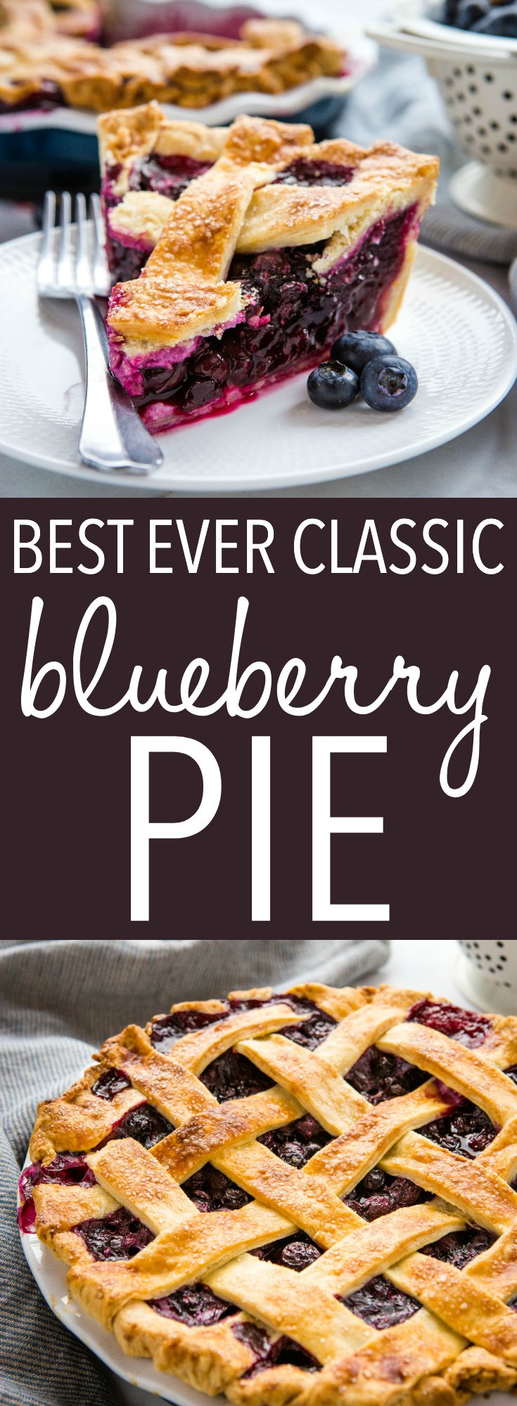 This Blueberry Pie recipe is made with an all-butter crust and fresh juicy blueberries and it is the perfect summer dessert. It's a simple pie recipe that's easy enough for anyone to make - even beginners! Be sure to follow my pro tips below for the perfect old fashioned blueberry pie! Recipe from thebusybaker.ca! #pie #blueberrypie #homemade #fromscratch #blueberries #fruitpie #summer #summerdessert via @busybakerblog