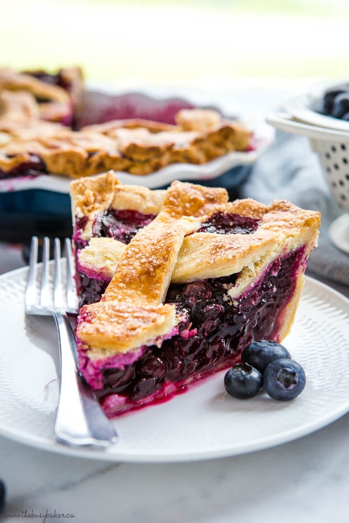 slice of blueberry pie with fresh blueberries on white dessert plate with fork