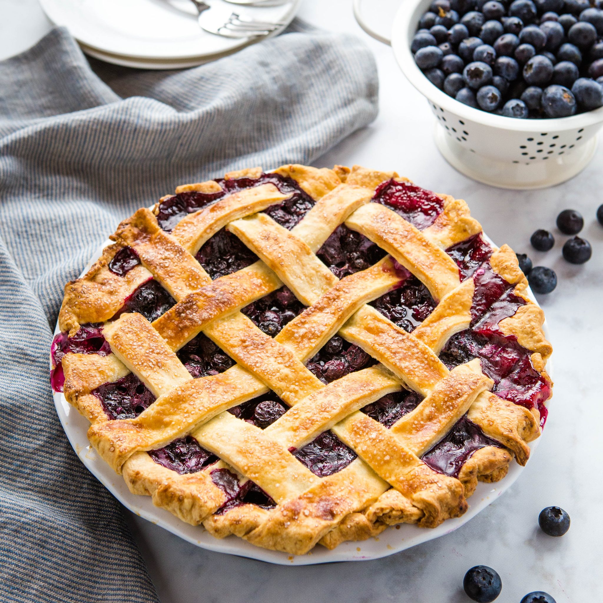 Blueberry Pie Recipe {with Pro Tips} - The Busy Baker