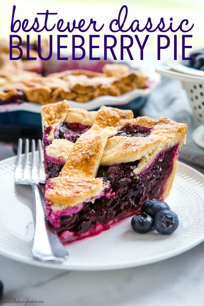 Best Ever Blueberry Pie Recipe with text