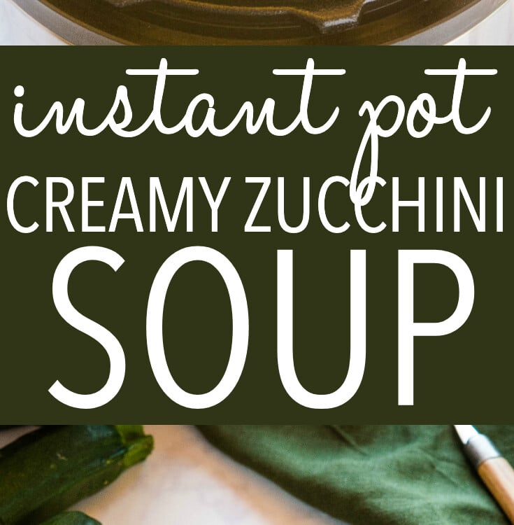Instant Pot Creamy Zucchini Soup {with Vegan Option} The Busy Baker