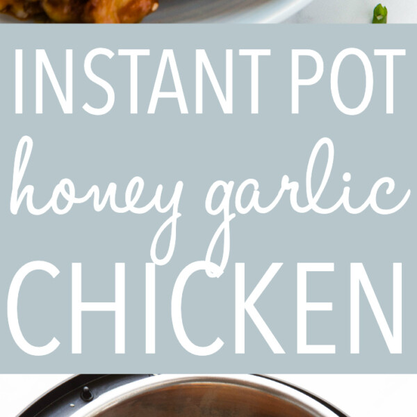 Instant Pot Honey Garlic Chicken - The Busy Baker