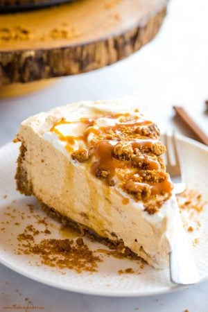 Easy No Bake Pumpkin Cheesecake - The Busy Baker