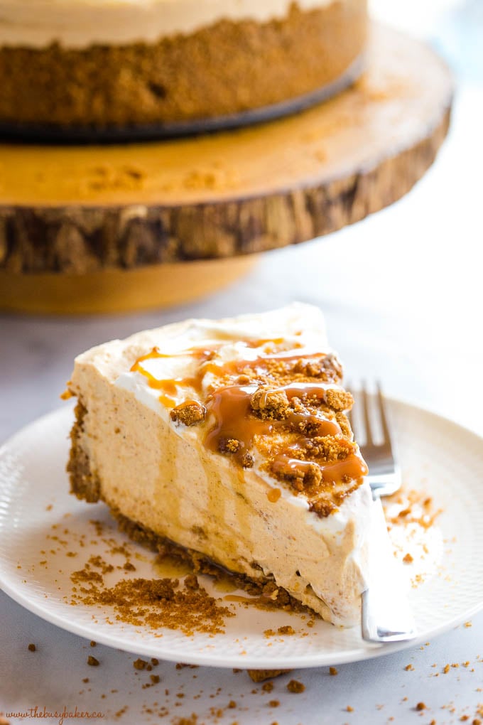 slice of no bake pumpkin cheesecake on white plate with gingerbread cookie crumbs