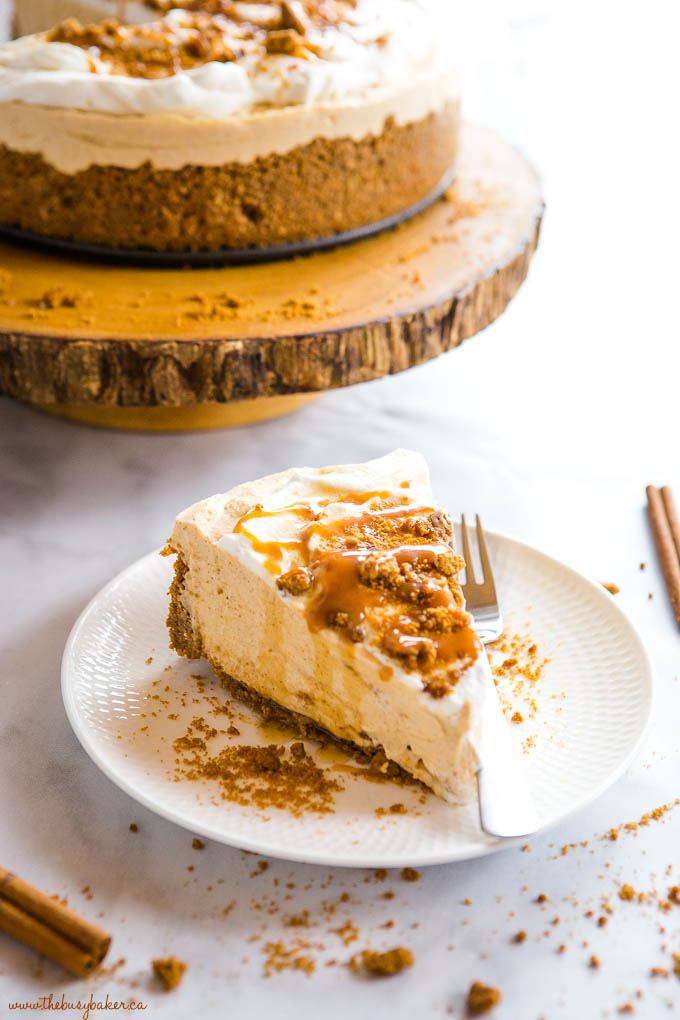 slice of no bake pumpkin cheesecake with full cheesecake on wooden cake stand on the background