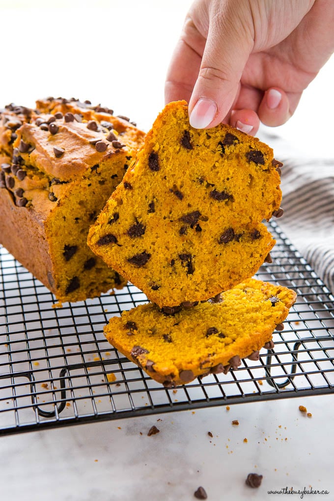 hand holding a slice of pumpkin bread with chocolate chips