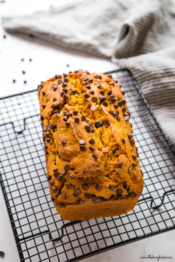 loaf of pumpkin bread with chocolate chips on a black wire rack