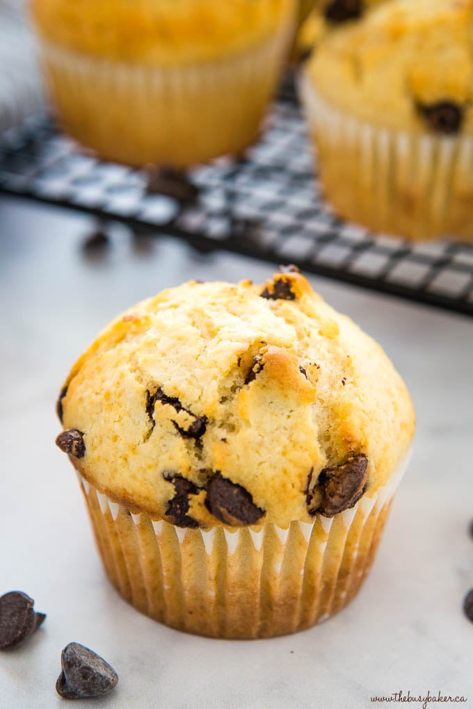 closeup image: chocolate chip muffin 