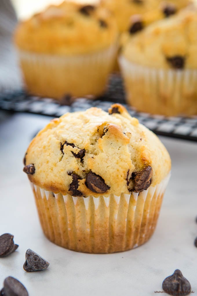 closeup image: chocolate chip muffin