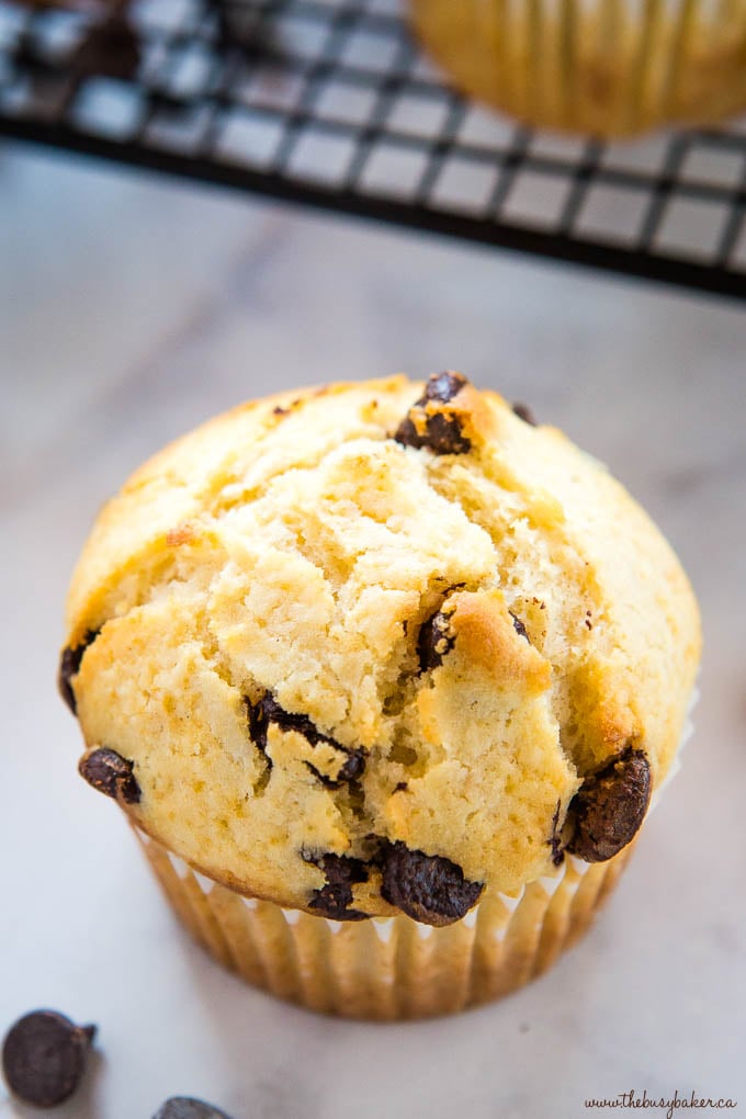 crispy top of chocolate chip muffin