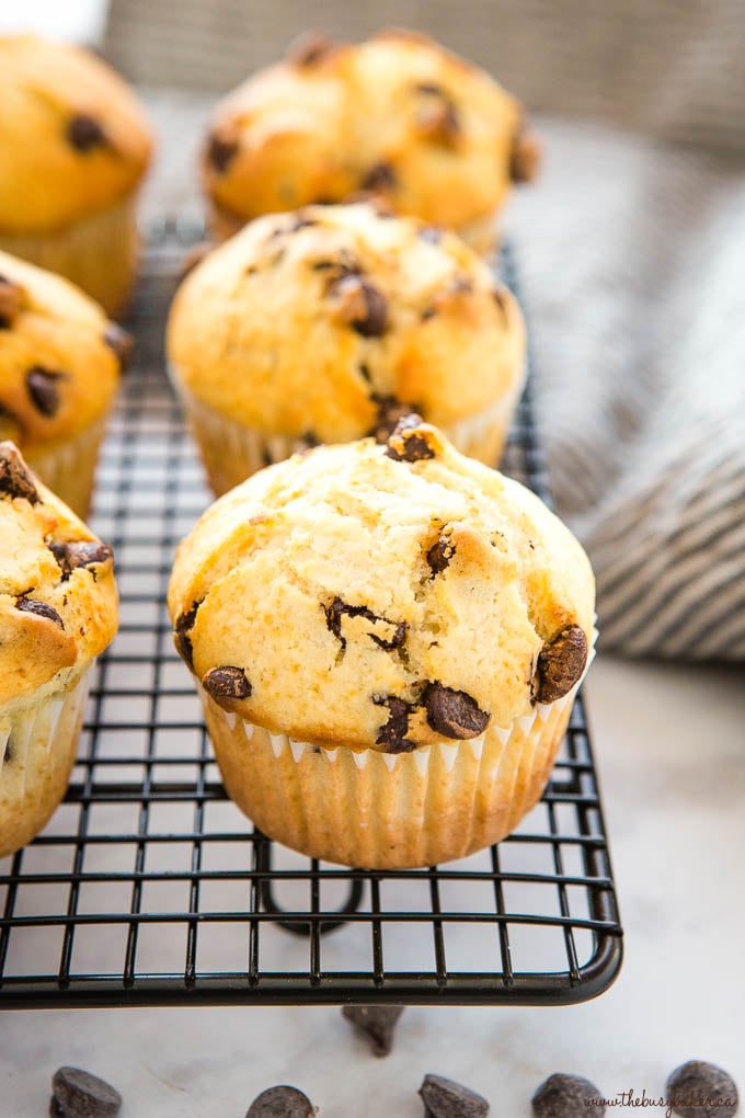 chocolate chip muffins on cooling rack