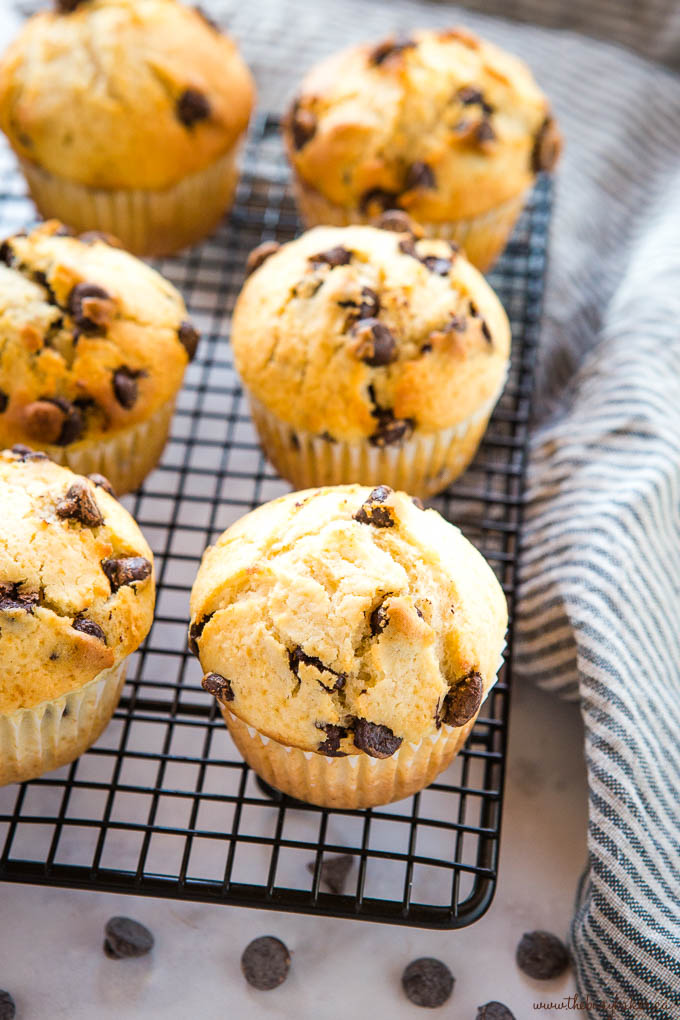 chocolate chip muffins on black wire rack