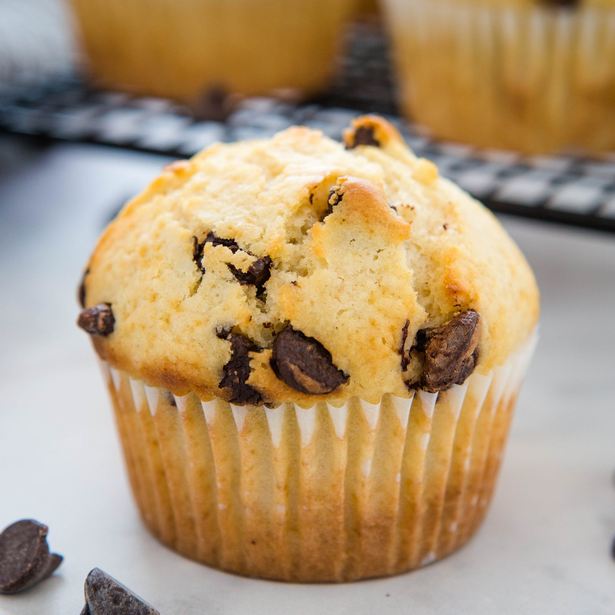 Moist Chocolate Chip Muffins Recipe