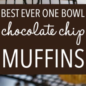 Best Ever Chocolate Chip Muffins - The Busy Baker