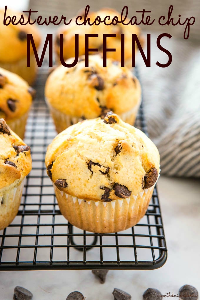 Best Ever Chocolate Chip Muffins