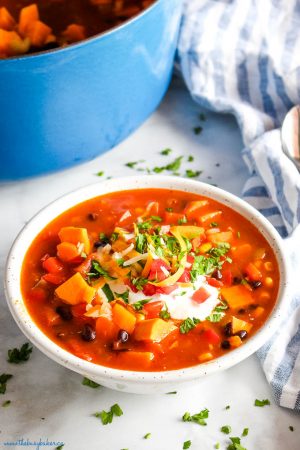 Easy Southwest Sweet Potato Soup {with Vegan Option} - The Busy Baker