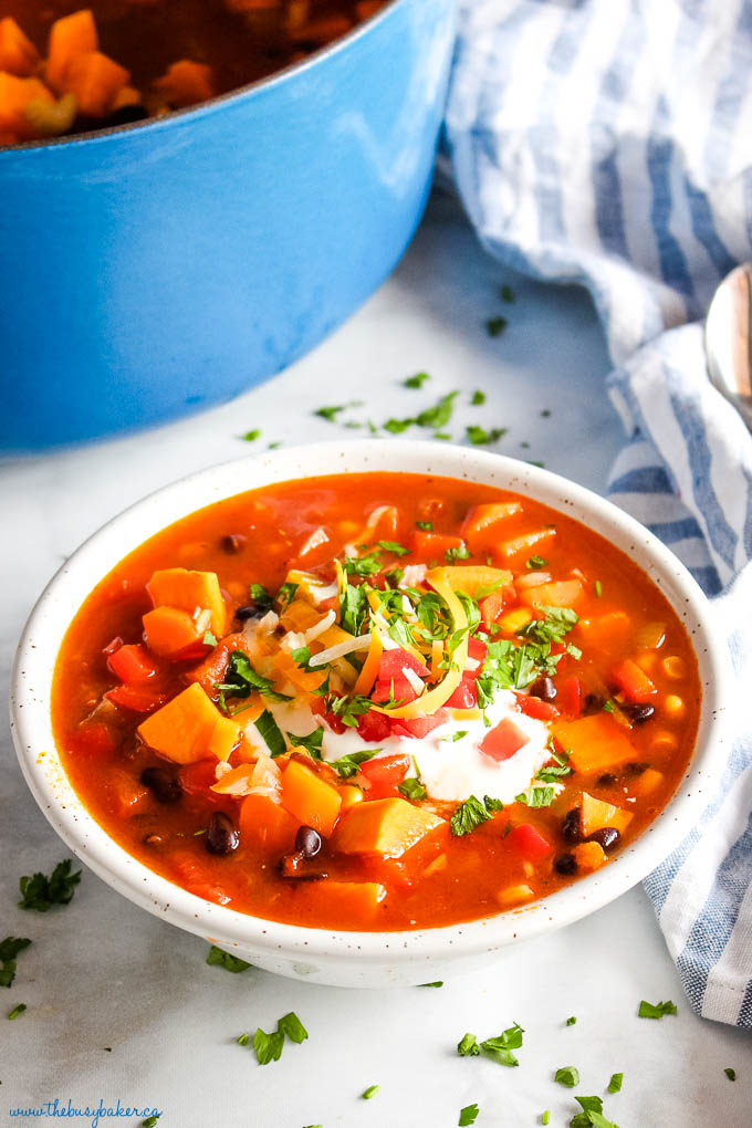 Easy Southwest Sweet Potato Soup {with Vegan Option} - The Busy Baker