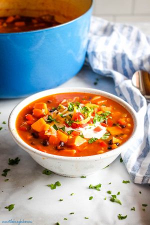 Easy Southwest Sweet Potato Soup {with Vegan Option} - The Busy Baker