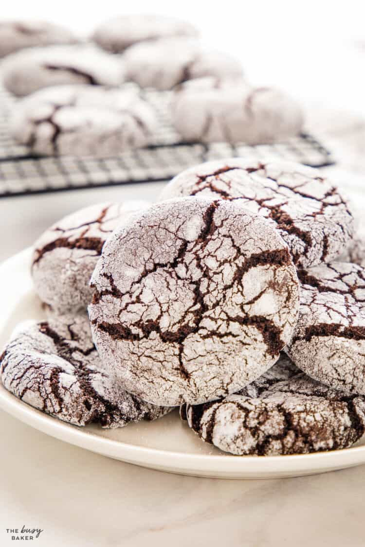 Chocolate Crinkle Cookies - The Busy Baker