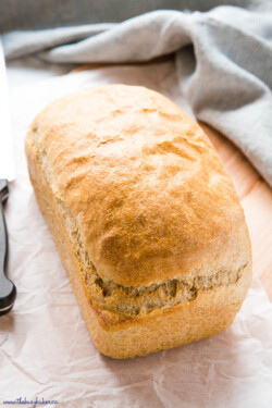 Easy Whole Wheat Bread {For Beginners!} - The Busy Baker