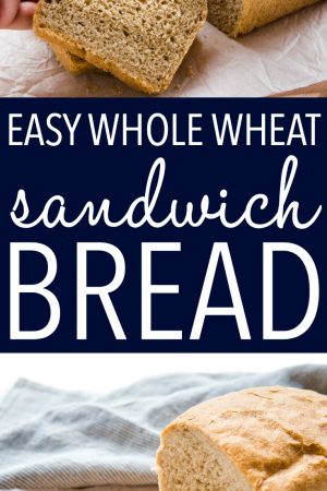 Easy Whole Wheat Sandwich Bread {For Beginners!} - The Busy Baker