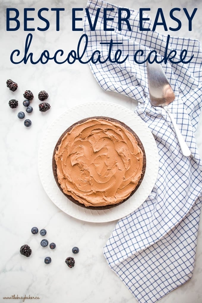 https://thebusybaker.ca/wp-content/uploads/2021/01/best-ever-easy-chocolate-cake-title.jpg