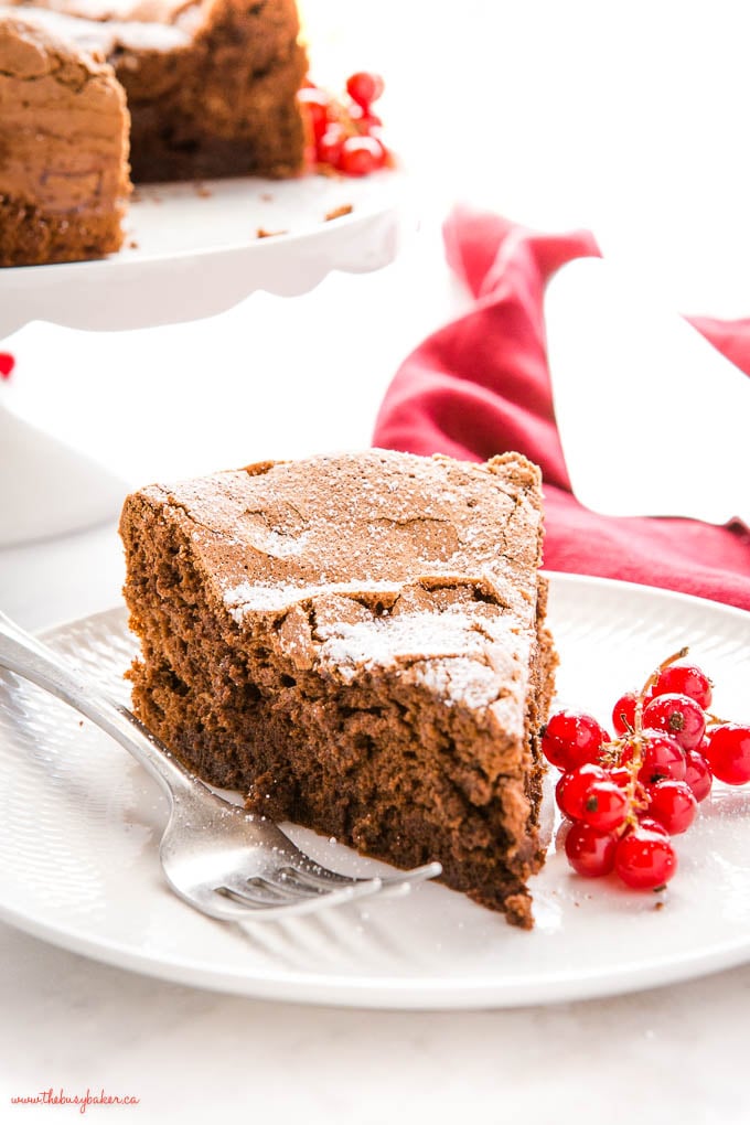 dense, fudgy flourless chocolate cake