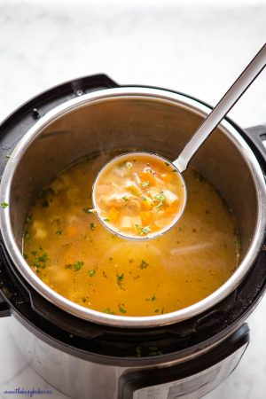 Instant Pot Chicken Noodle Soup - The Busy Baker