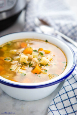 Instant Pot Chicken Noodle Soup - The Busy Baker