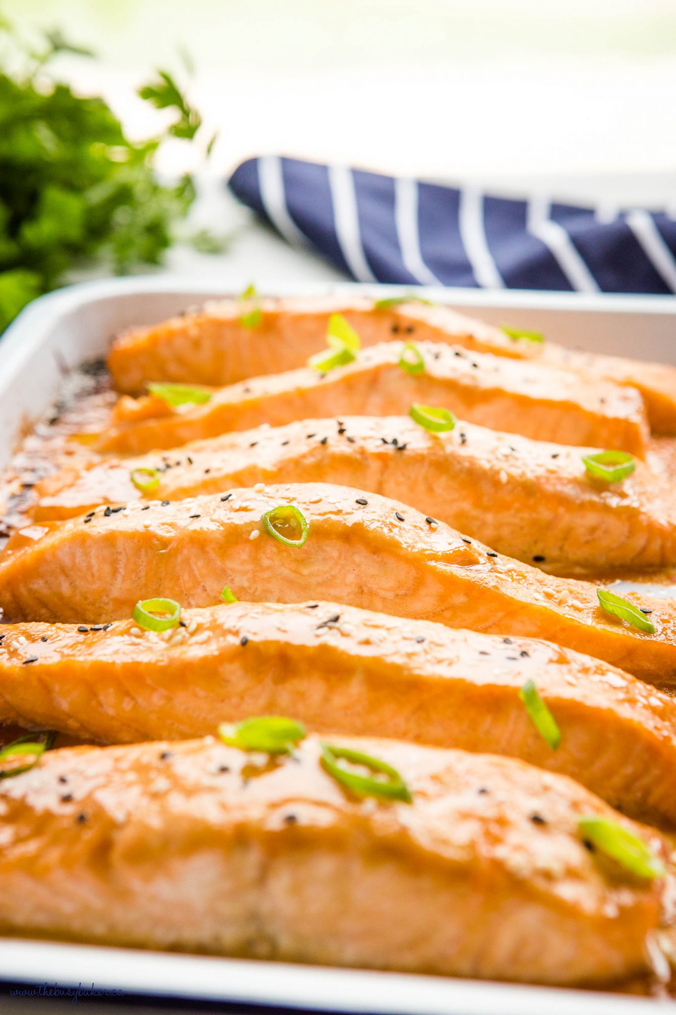 Easy Glazed Miso Salmon {Oven-Baked} - The Busy Baker