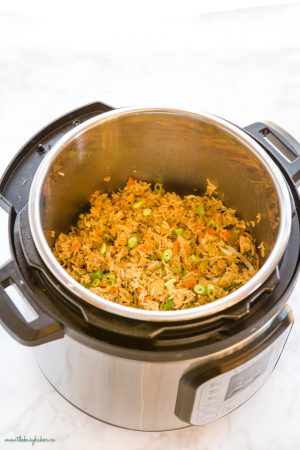 Instant Pot Fried Rice with Chicken - The Busy Baker