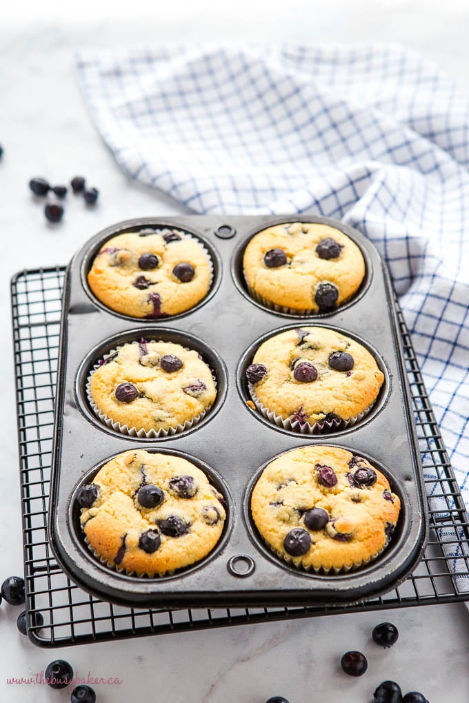 low carb blueberry muffins in muffin tin