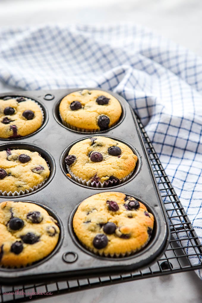 low carb blueberry muffins in muffin tin