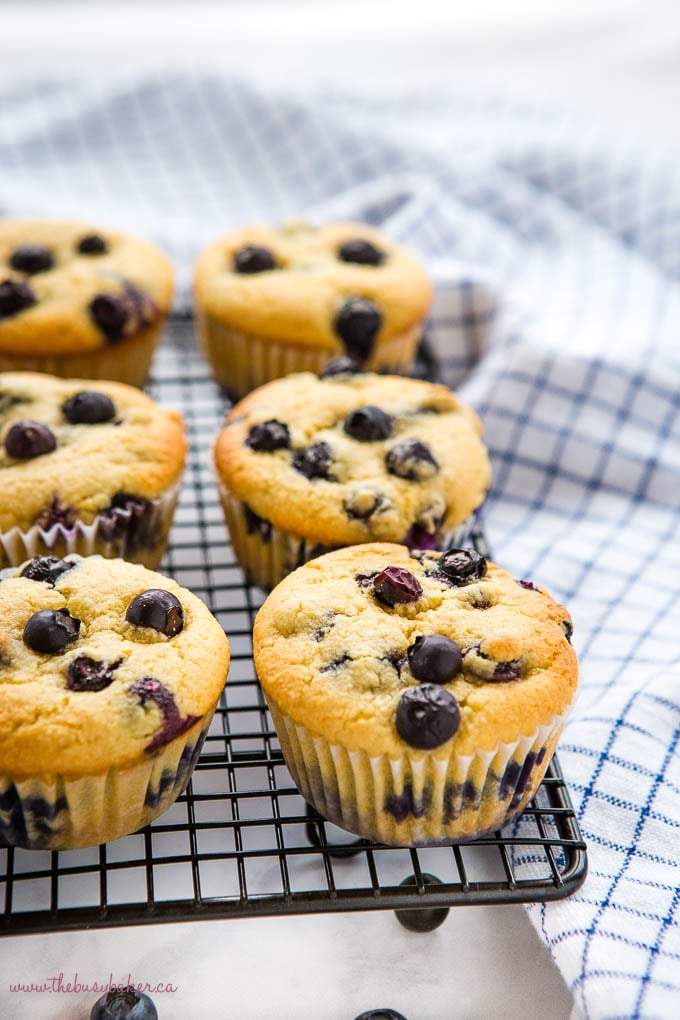 low carb blueberry muffins on black wire rack