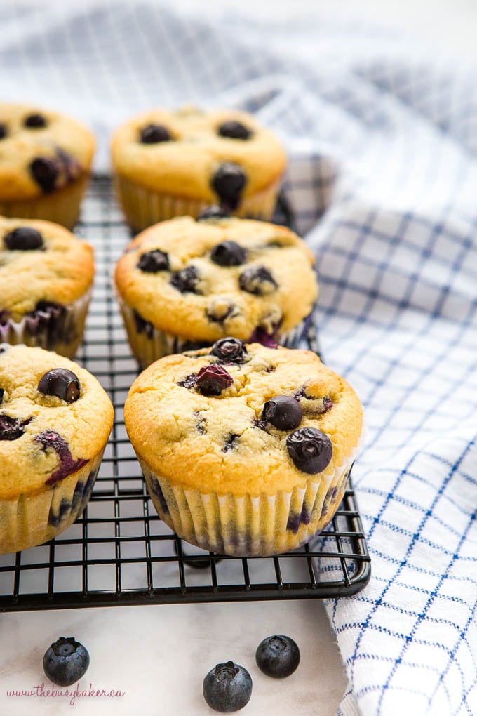 low carb blueberry muffins on wire rack with fresh blueberries