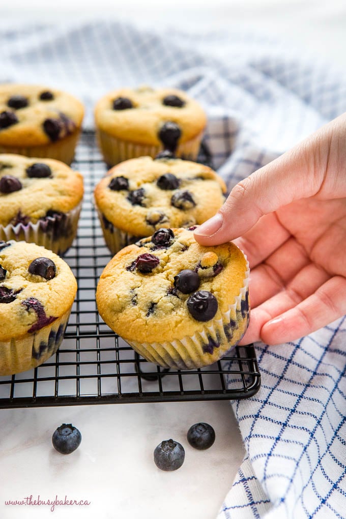 hand reaching for low carb blueberry muffin