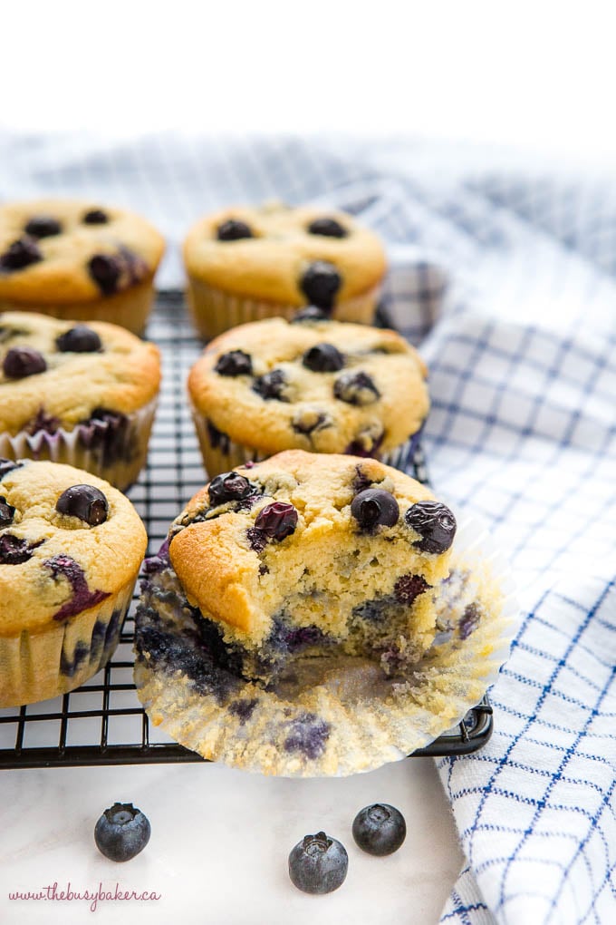 low carb blueberry muffins with fluffy texture