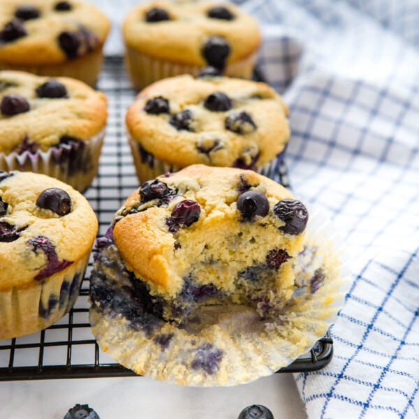 Best Ever Low Carb Blueberry Muffins - The Busy Baker