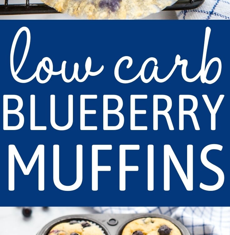 Best Ever Low Carb Blueberry Muffins The Busy Baker
