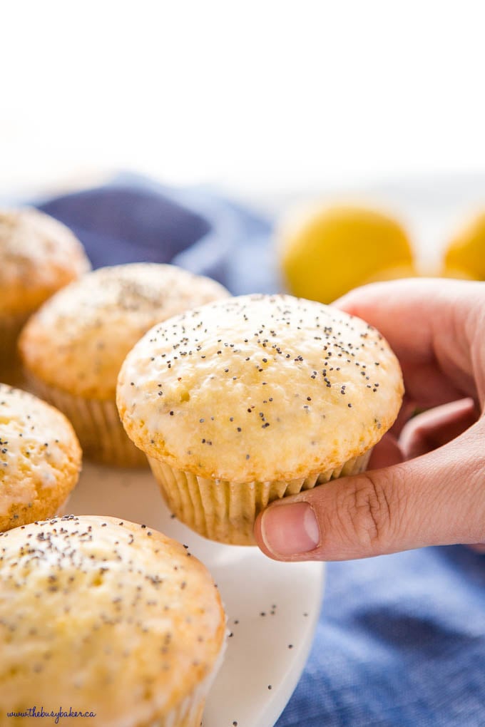 hand holding lemon poppy seed muffin