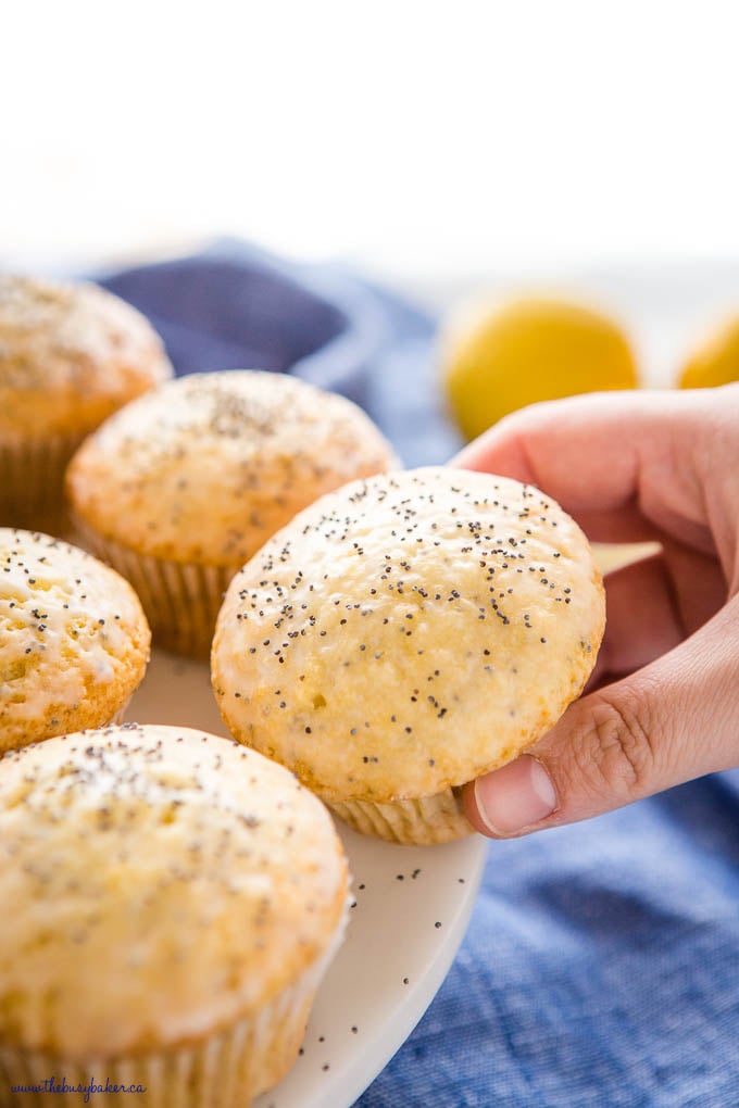 hand holding lemon muffin with poppy seeds