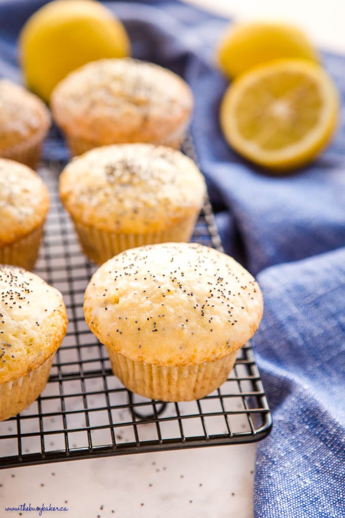 poppy seed muffins with lemon glaze