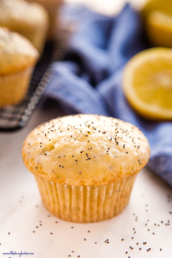 Lemon Poppy Seed Muffins {Easy Recipe!} - The Busy Baker