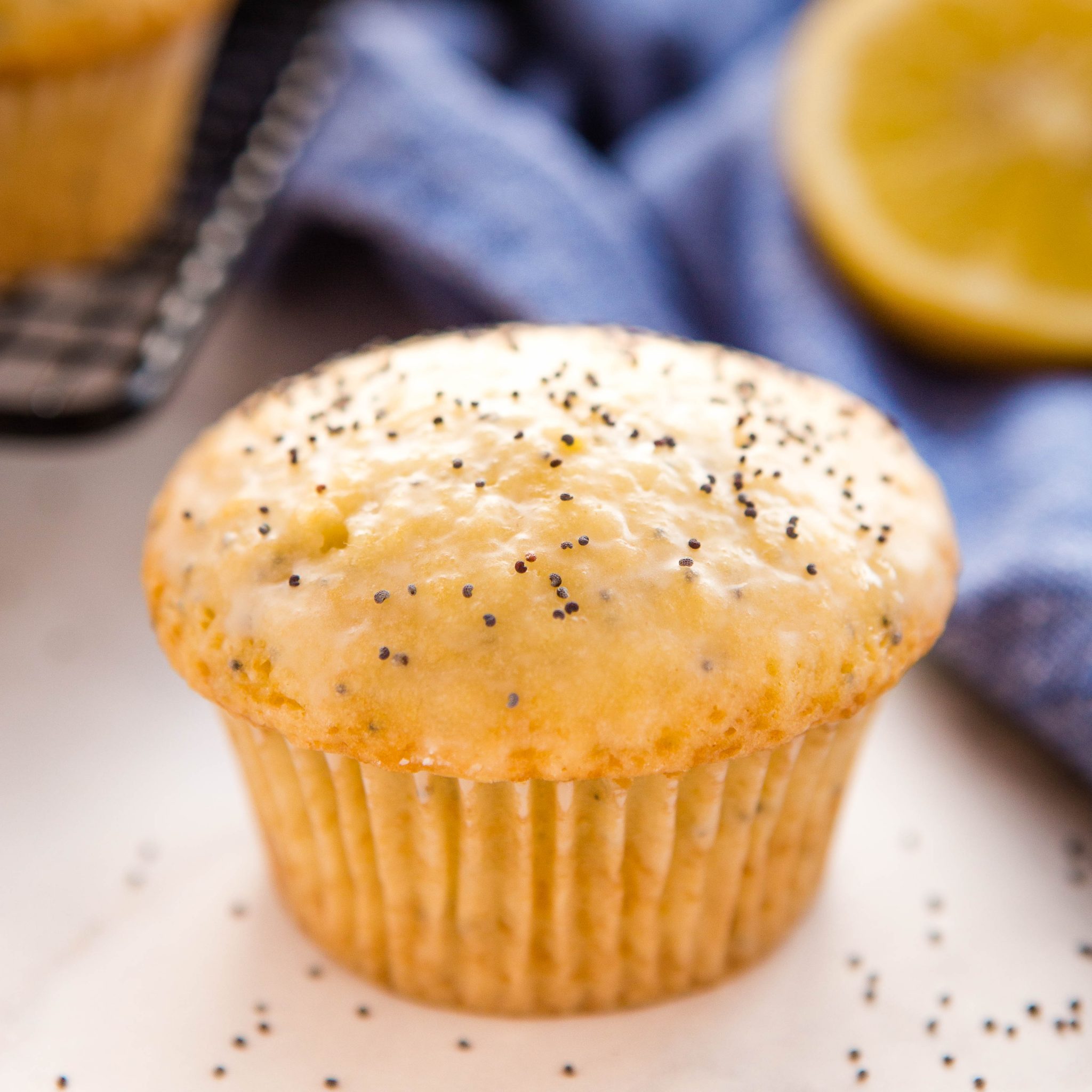 poppy seed muffin